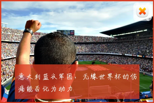 意大利蓝衣军团，无缘世界杯的伤痛能否化为动力